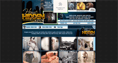 Desktop Screenshot of homehiddencams.com